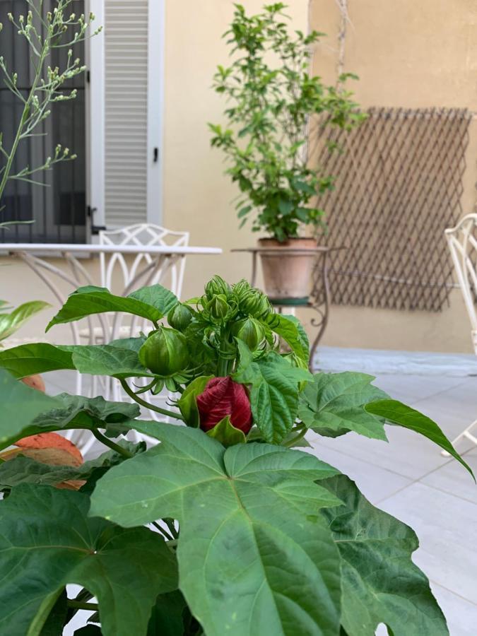 La Terrazza Vercelli Bed & Charme Exteriér fotografie